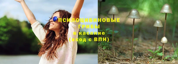 сатива Арсеньев