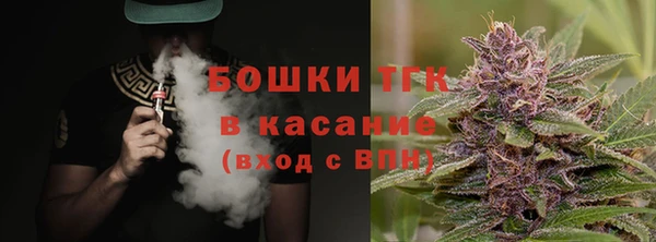 сатива Арсеньев