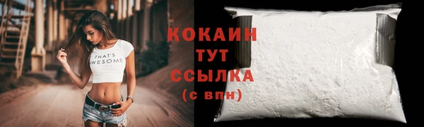 сатива Арсеньев