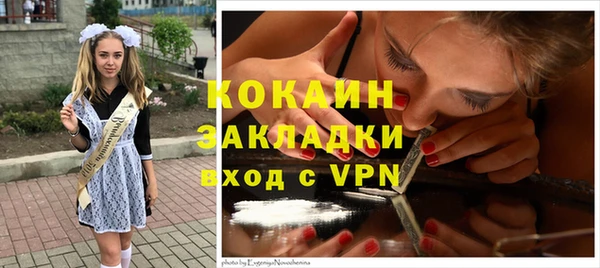 сатива Арсеньев
