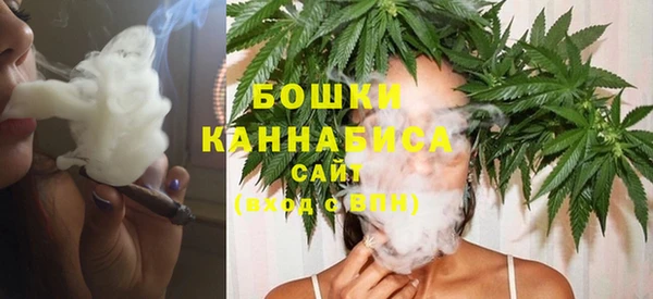 сатива Арсеньев