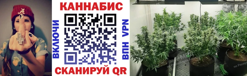 МАРИХУАНА план  Купить  Закаменск 